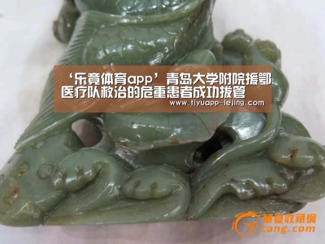 ‘乐竟体育app’青岛大学附院援鄂医疗队救治的危重患者成功拔管(图2) 乐竟体育app