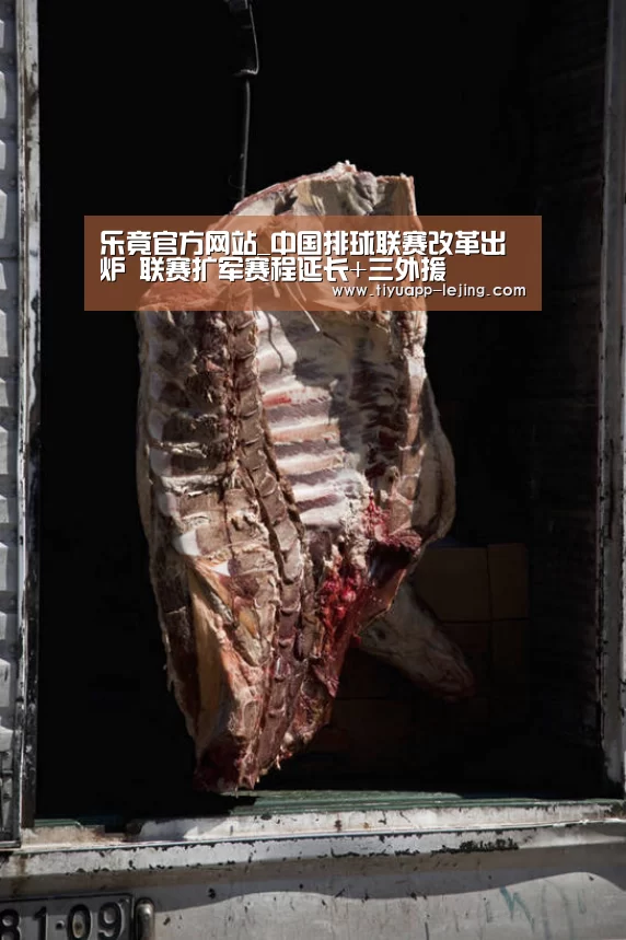 乐竟官方网站_中国排球联赛改革出炉 联赛扩军赛程延长+三外援(图2) 乐竟体育官网